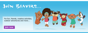 main-beavers4